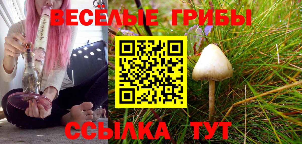 Галлюциногенные грибы MAGIC MUSHROOMS  Вход с VPN  купить наркотики сайты  Сальск 